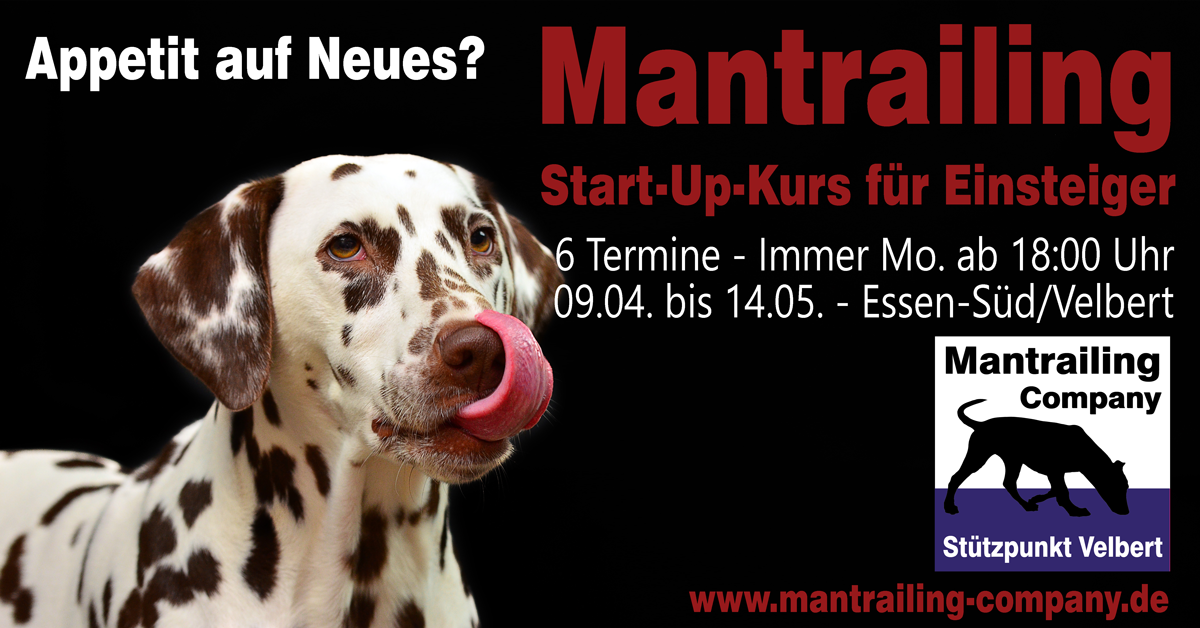 StartUp Kurs für Einsteiger (Essen-Velbert)