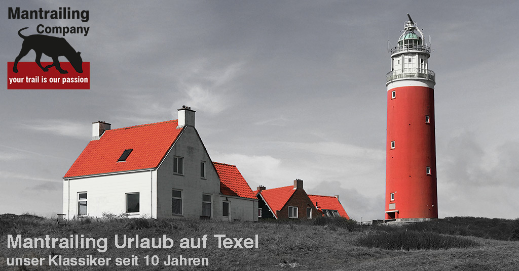 Texel Urlaub generic