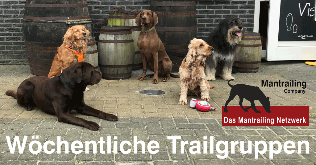 Trailgruppe