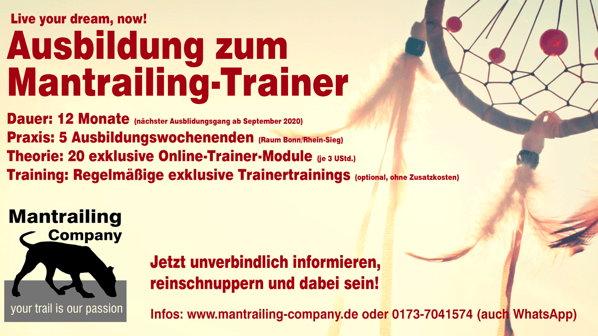 Trainerausbildung 2020