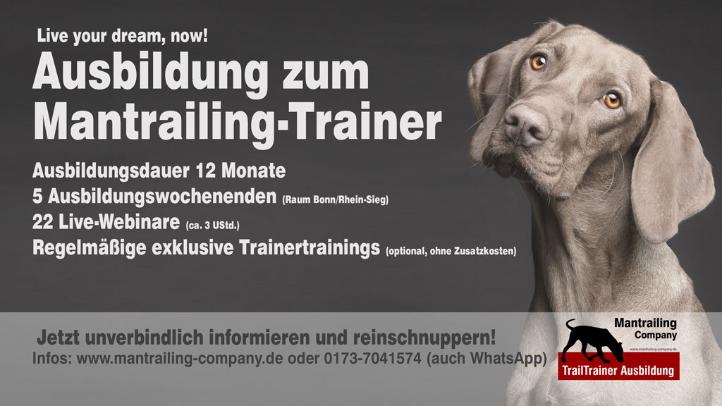 Ausbildung zum Mantrailing-Trainer