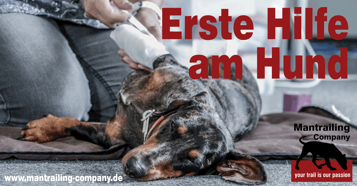 ErsteHilfeHund 2018