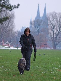K-9 Suchhundezentrum inline small (8)