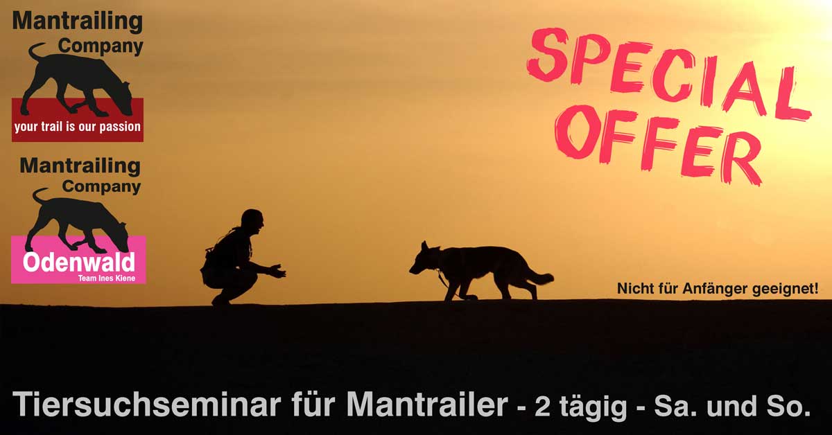 Tiersuchseminar mit Ines 2019
